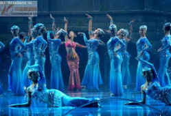 孔雀舞蹈视频,探寻传统与现代交融的艺术魅力